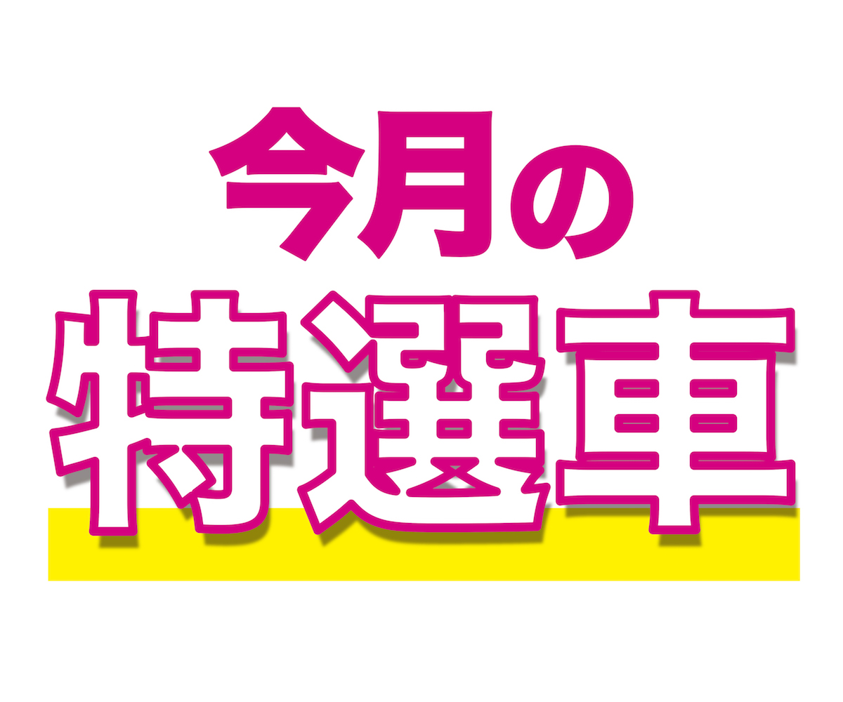 【5月】今月の特選車 キャンペーン期間：[2024-03-01～2024-03-31]