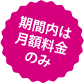 期間内は月額料金のみ