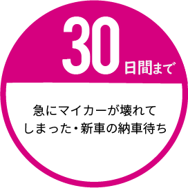 30日間までレンタルできる